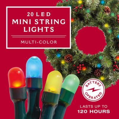 Buy 20 LED Mini Light String Set in Multi from Bed Bath & Beyond